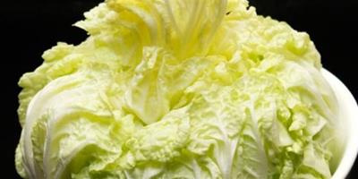 小白菜能減肥嗎？ 這7款白菜減肥料理你學會了嗎