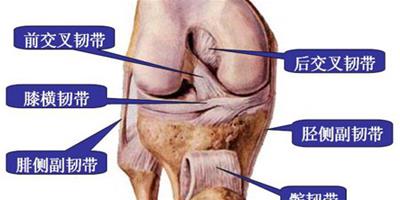 膝蓋韌帶損傷的原因 韌帶損傷有什麼症狀？