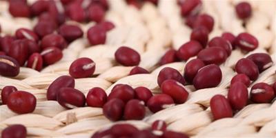 秋季紅豆減肥法周瘦10斤 4款紅豆減肥食譜推薦