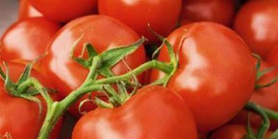 番茄可以預防電腦輻射嗎？