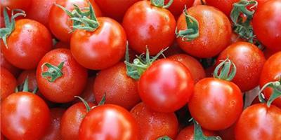 番茄面膜能去痘印嗎 介紹7種美白方法讓你成功祛痘
