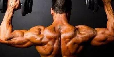 肩部肌肉鍛煉圖解大全 讓你練出完美身形