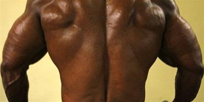 杠鈴鍛煉肌肉的方法有哪些？ 教你發展全身肌肉的7種方法