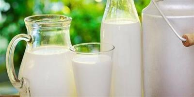牛奶真相大揭秘 優酪乳和純牛奶的區別