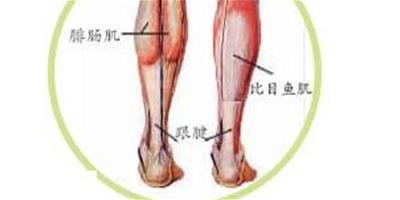 小腿肌肉怎麼減 幾個方法教你有效變美腿