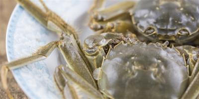 河蟹可以減肥嗎 河蟹的熱量
