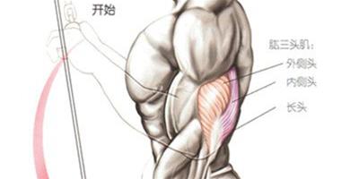 肱三頭肌鍛煉方法有？ 10個步驟為你簡單介紹