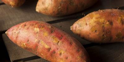紅薯可以減肥嗎 紅薯怎麼吃對身體好