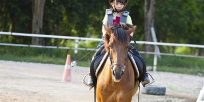 騎馬可以減肥嗎 騎馬消耗的熱量