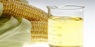 玉米油可以減肥嗎 玉米油的熱量