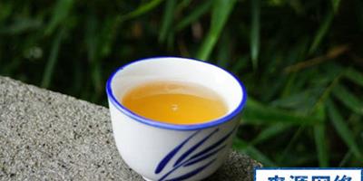 男性冬季感冒喝什麼茶好