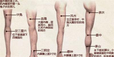 怎樣減小腿上的肌肉 在日常生活中如何塑造美腿