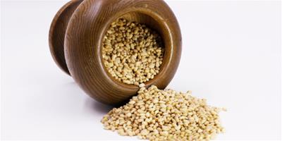 小麥可以減肥嗎 小麥的熱量