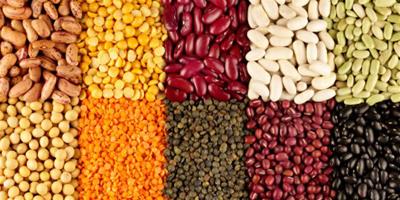 為什麼多吃豆子能減肥 營養專家告訴你