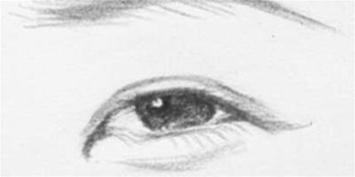 桃花眼和丹鳳眼圖片大全 圖解如何分辨桃花眼與丹鳳眼