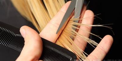 乾枯毛躁的頭髮怎麼辦 7種日常小方法讓你輕鬆告別頭髮乾枯毛躁