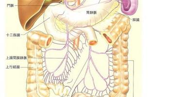 通過咖啡灌腸可以減肥嗎 8個小點告訴你應該注意什麼