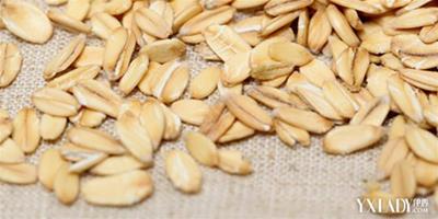 燕麥片減肥正確吃法有哪些 推薦四種瘦身的燕麥做法