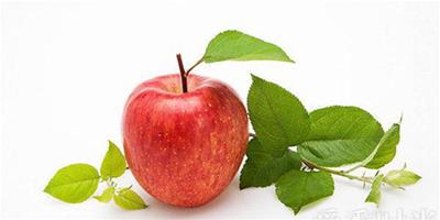 晚餐吃蘋果減肥嗎 蘋果減肥的原理及注意事項