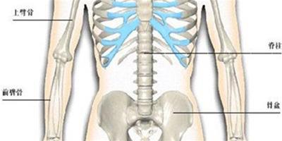 人體脊椎圖片欣賞 結構與治療方法介紹