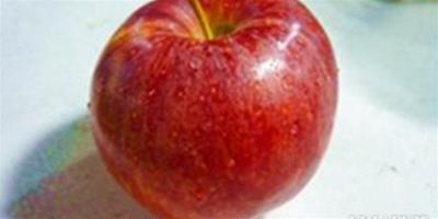 分享減肥瘦腰的方法 一個蘋果助你減肥瘦腰