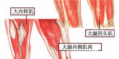 告別大象腿 3組瘦腿動作練出纖細長腿