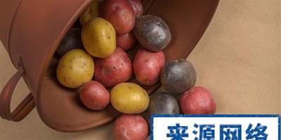 夏季減肥食譜 6天塑造窈窕身材