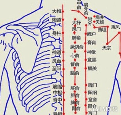 肩周炎拔罐穴位圖解大全 引起該病的原因是什麼 色彩地帶